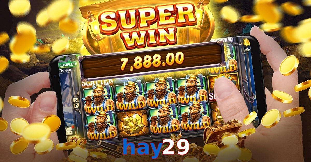 hay29