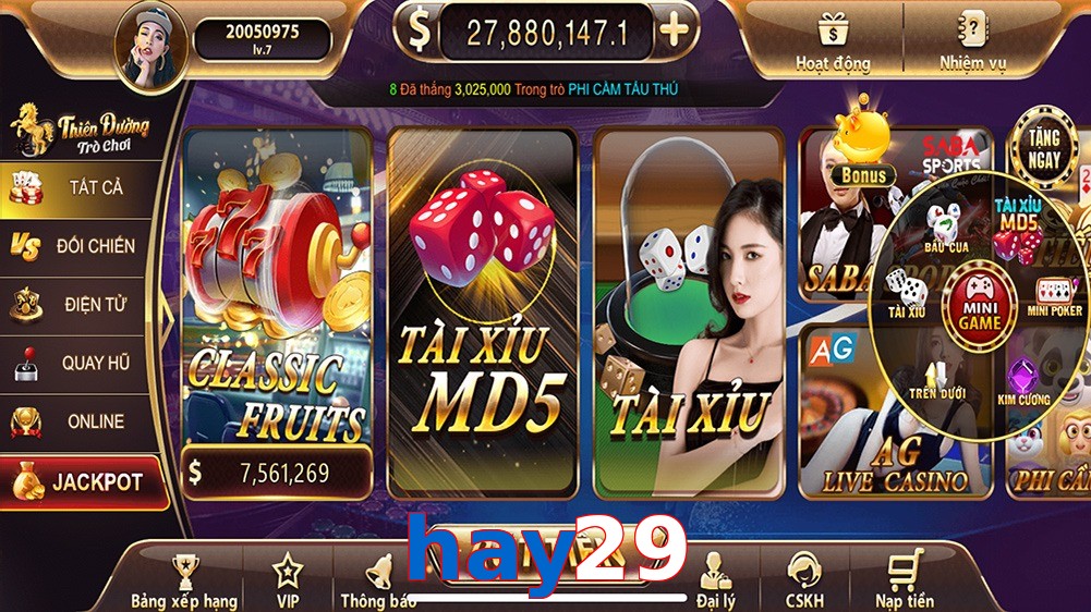 hay29