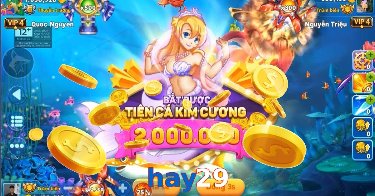 hay29