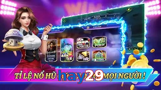 hay29