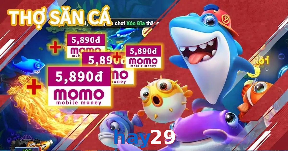 hay29