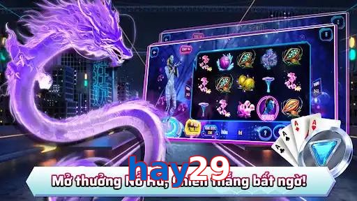 hay29