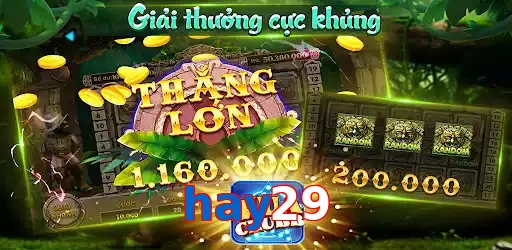 hay29
