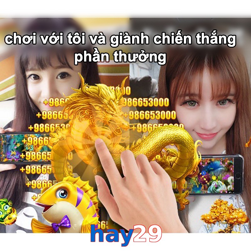 hay29